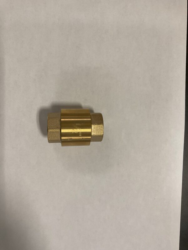 Brass Spring Check Valve